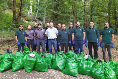 Cənubda meşə əraziləri tullantılardan təmizlənilib