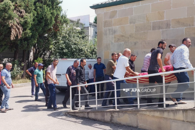 Meşədə üstünə ağac aşan Lerik sakini ölüb