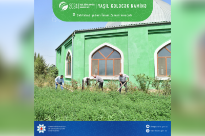 Cənub bölgəsində yaşıllaşdırma aksiyası keçirilib