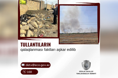 Cəlilabadda tullantıların qalaqlanaraq yandırılması faktları aşkarlanıb