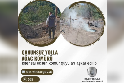 Masallı və Cəlilabadda qanunsuz kömür quyuları aşkarlandı