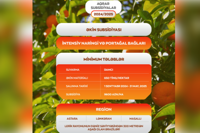 Cənublu fermerlərə şad xəbər