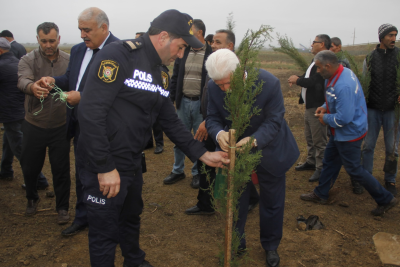 Cəlilabadda ağacəkmə aksiyası təşkil edilib