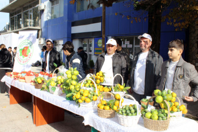 Lənkəranda Yaşıl Dünya Festivalı keçirilib - VİDEO