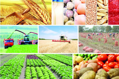 Ölkədə bəzi məhsulların istehsalı azalıb