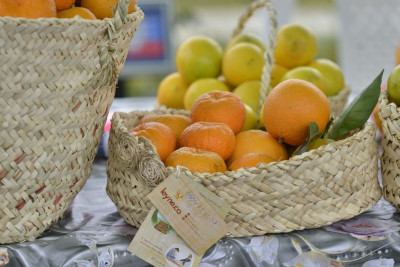 Cənubda aqrar biznes festivalları keçirilib - FOTO