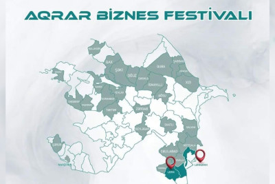 Cənubda Aqrar Biznes Festivalları keçiriləcək