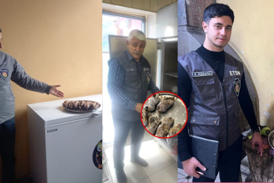 Cənubda yerləşən ictimai iaşə obyektlərində nöqsanlar aşkarlanıb