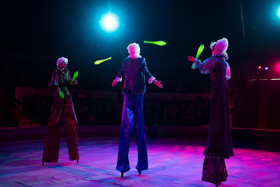 Lerikə sirk GƏLİR