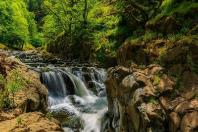 Azərbaycanın ən qədim qoruqlarından biri: Hirkan Milli Parkı - VİDEO