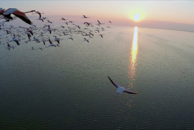 Cənubun milli parklarında tədbirlər təşkil olunacaq