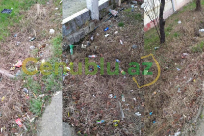 Lənkəranın bu küçəsində bərələr zibil içindədir - ŞİKAYƏT + VİDEO