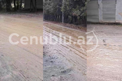 Yeni il ərəfəsində Azərbaycanda un qiymətləri – RƏSMİ