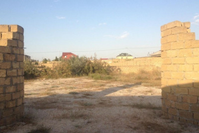 Gələn aydan torpaq sahələri üzrə icarə ƏDV-yə cəlb edilməyəcək