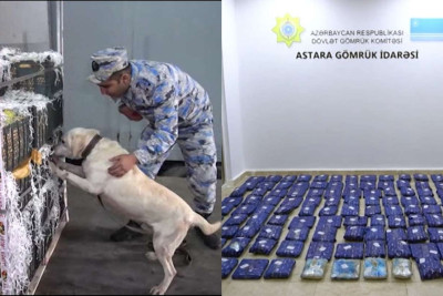 “Alma” yüklü avtomobildən külli miqdarda narkotik vasitə aşkarlandı