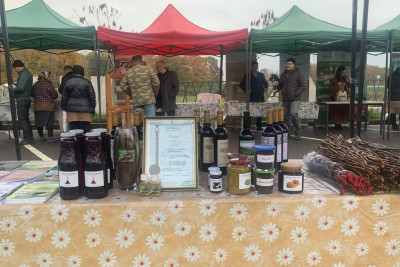 Lənkəran və Lerikdə Aqrar İnnovasiya Festivalları keçirilib