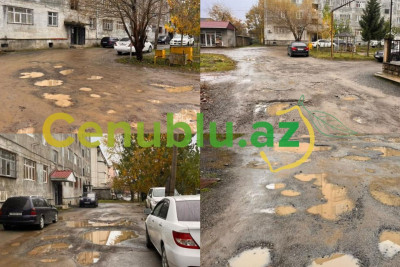 Lənkəran ŞİH-dən Cenublu.az-a ÜMİDVERİCİ XƏBƏR