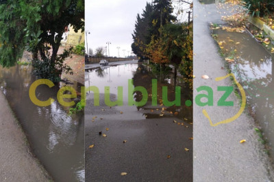 Lənkəranda yağışın fəsadları: bərələr daşıb - VİDEO
