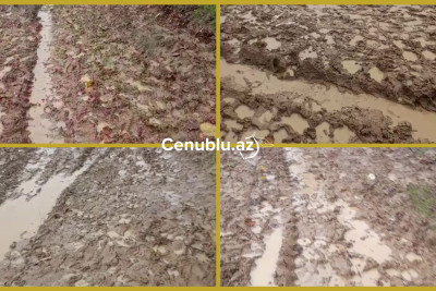 Lənkəran kəndində keçilməz yol - VİDEO