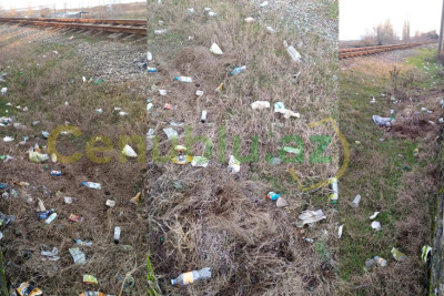 Lənkəranın sağalmayan yarası: Zibillik - VİDEO