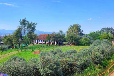 Boris Millerin çarojların yaşayış məntəqəsi adlandırdığı Sərək kəndi