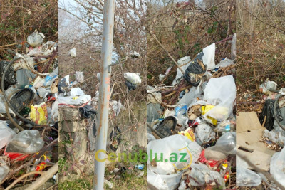 Lənkəranın bitməyən zibil dərdi - VİDEO