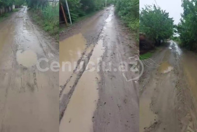 Ən gənc namizəd Masallı bələdiyyəsinə üzv SEÇİLDİ