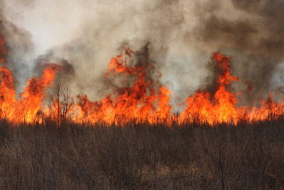 Biləsuvarda talvar yanıb