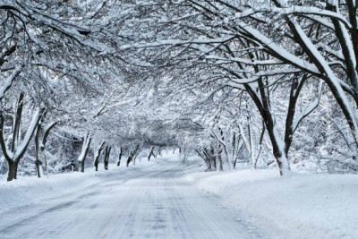 Lerikdə qar örtüyünün hündürlüyü 21 santimetrə çatıb - FAKTİKİ HAVA