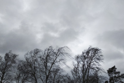 Küləkli hava şəraiti ilə bağlı əhaliyə xəbərdarlıq