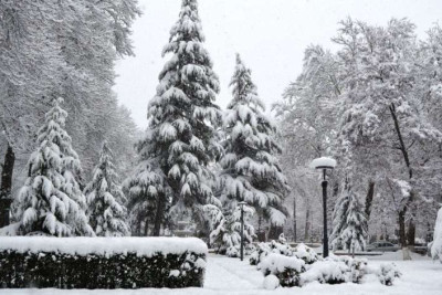 Lerikə 24 sm qar yağıb