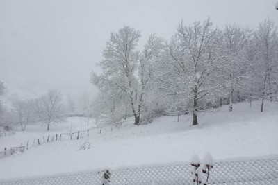 Lerikdə yağan qarın hündürlüyü 50 sm-dir - FAKTİKİ HAVA - VİDEO