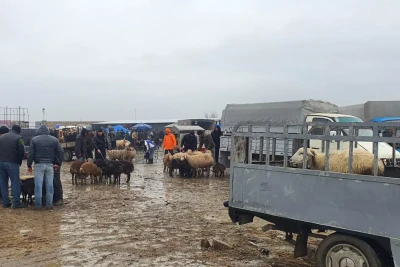 Biləsuvarda mal-qara bazarının iş günü dəyişdirilib