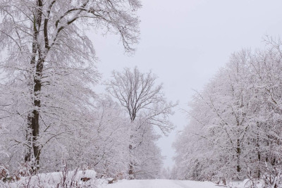 Qarlı hava davam edir - FAKTİKİ HAVA