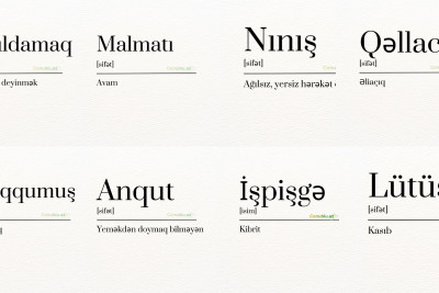 Cəlilabadda işlənən bəzi dialekt sözlər