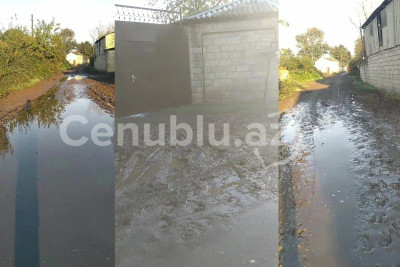 Lənkəranın Boladi kəndində palçıqlı yollar sakinləri təngə gətirib