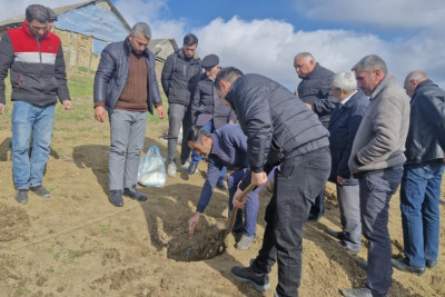 Lerikdə üzümçü fermerlər üçün tarla seminarları keçirilib