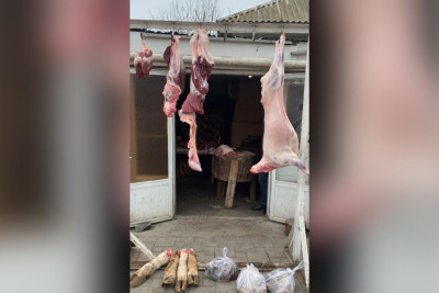 Lənkəranda qanunsuz heyvan kəsiminin qarşısı alındı 