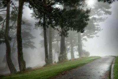 Duman olacaq, külək əsəcək - PROQNOZ