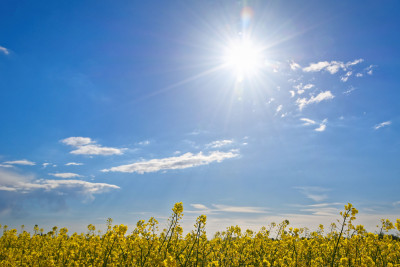 Sabah hava necə olacaq? 