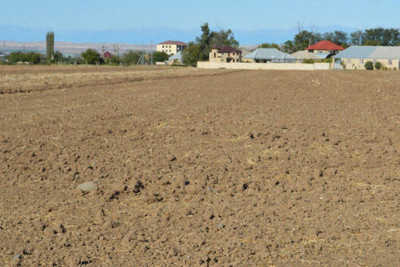 Torpağın qiymətləndirməsi bələdiyyələrdən alınır - Üstünlükləri nədir?  - VİDEO
