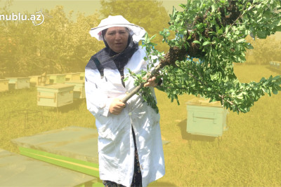 “Son illər gəlir əldə etmək çətinləşib” - 50 ilin arıçı qadını ilə ÖZƏL MÜSAHİBƏ