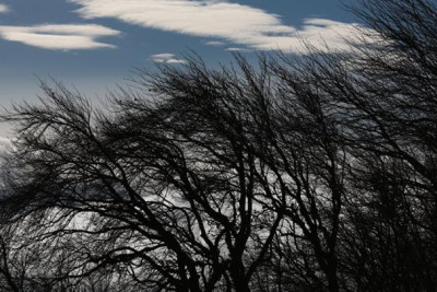 Külək əsəcək, dolu düşəcək - PROQNOZ