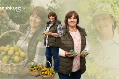 “İşimizin bəhrəsini görmək mənim üçün ən böyük mükafatdır” - Lənkəranlı fermer xanımla ÖZƏL MÜSAHİBƏ