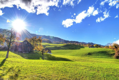 Sabah 23 dərəcə isti olacaq - PROQNOZ