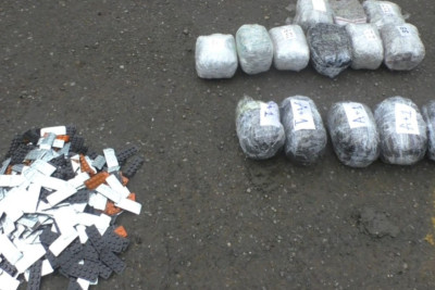 Qanunsuz ağackəsmə faktları ilə bağlı cinayət işi başlanıb