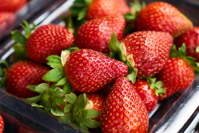 Cəlilabadda çiyələk yığımına başlanılıb