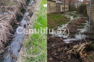 Lənkəranda bərə üfunət saçır - FOTO