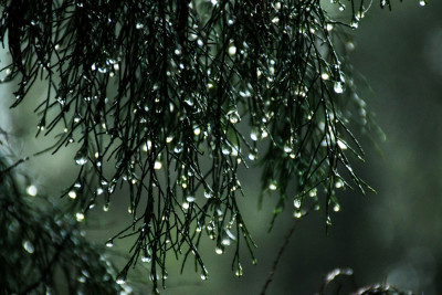 Hava şəraiti ilə bağlı əhaliyə müraciət edildi