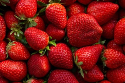 Ən çox çiyələk hansı rerionda yetişir?